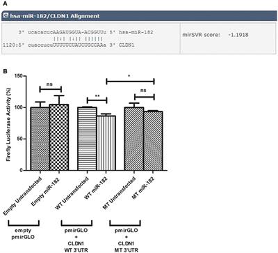 Disruption of Claudin-1 Expression by miRNA-182 Alters the Susceptibility to Viral Infectivity in HCV Cell Models